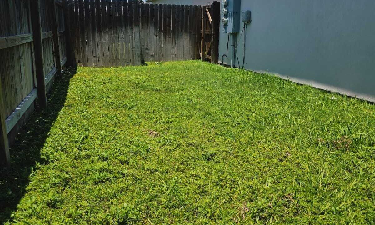 Photo of Outdoor in Weslaco
