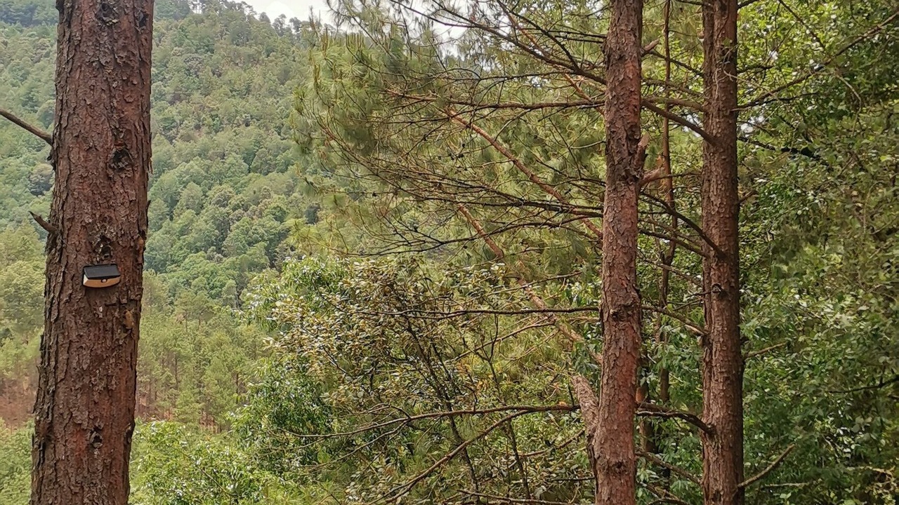 Photo of Outdoor in San Sebastian Rio Hondo
