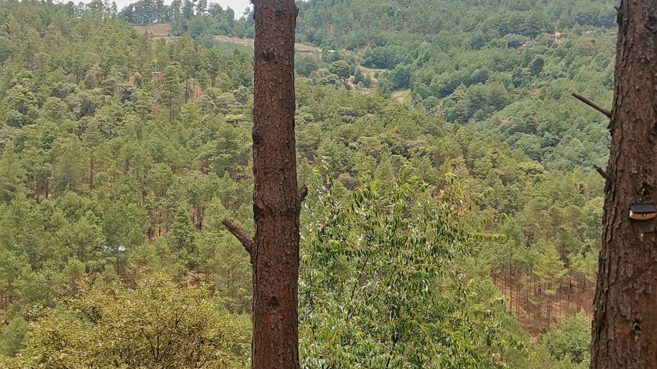 Photo of Outdoor in San Sebastian Rio Hondo
