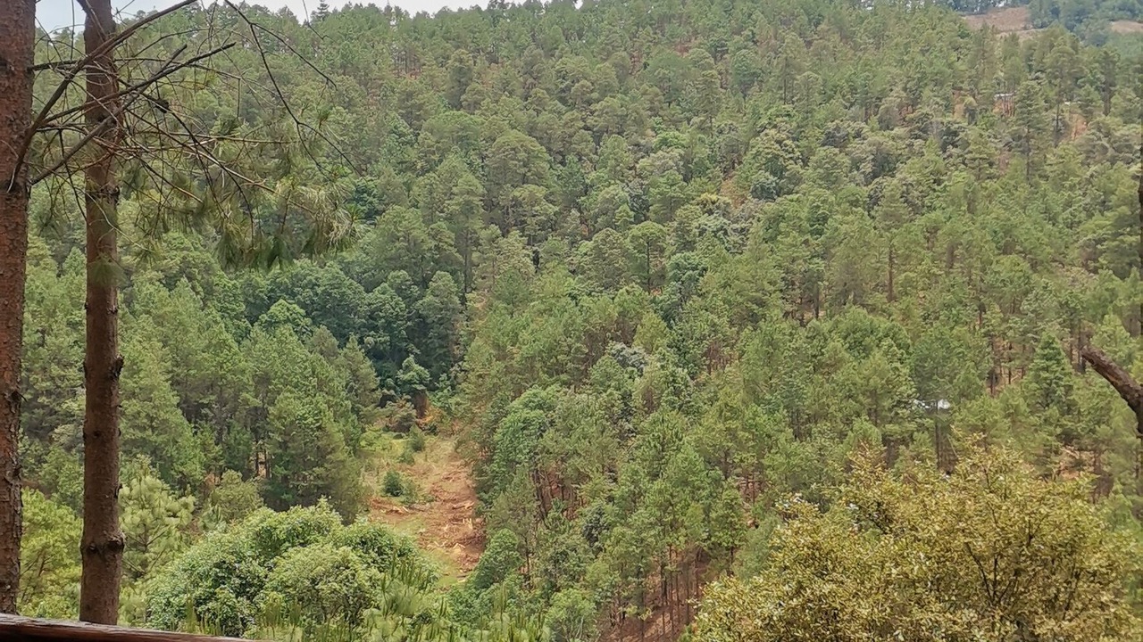 Photo of Outdoor in San Sebastian Rio Hondo