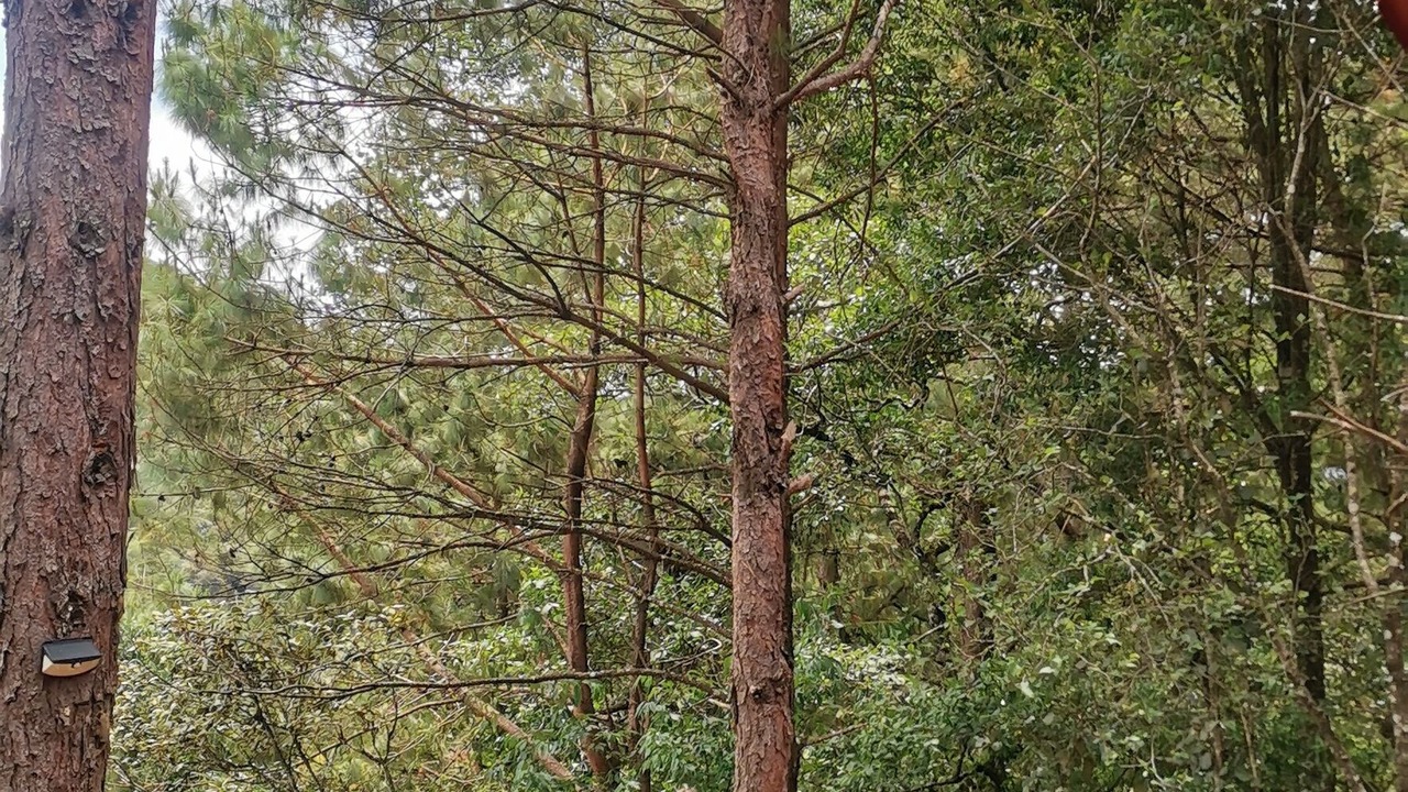 Photo of Outdoor in San Sebastian Rio Hondo