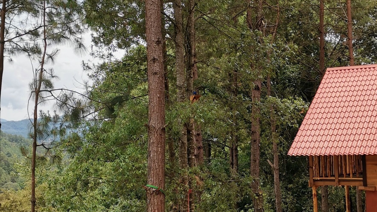 Photo of Outdoor in San Sebastian Rio Hondo