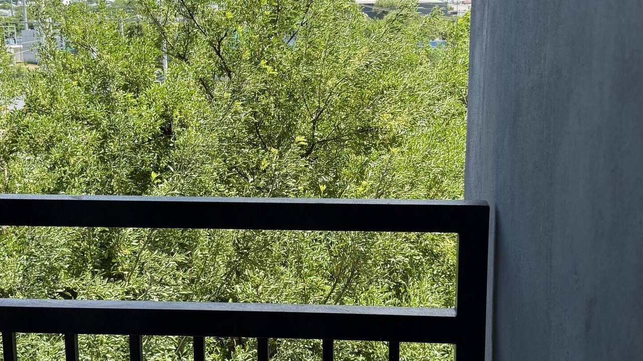 Photo of Outdoor in Monterrey