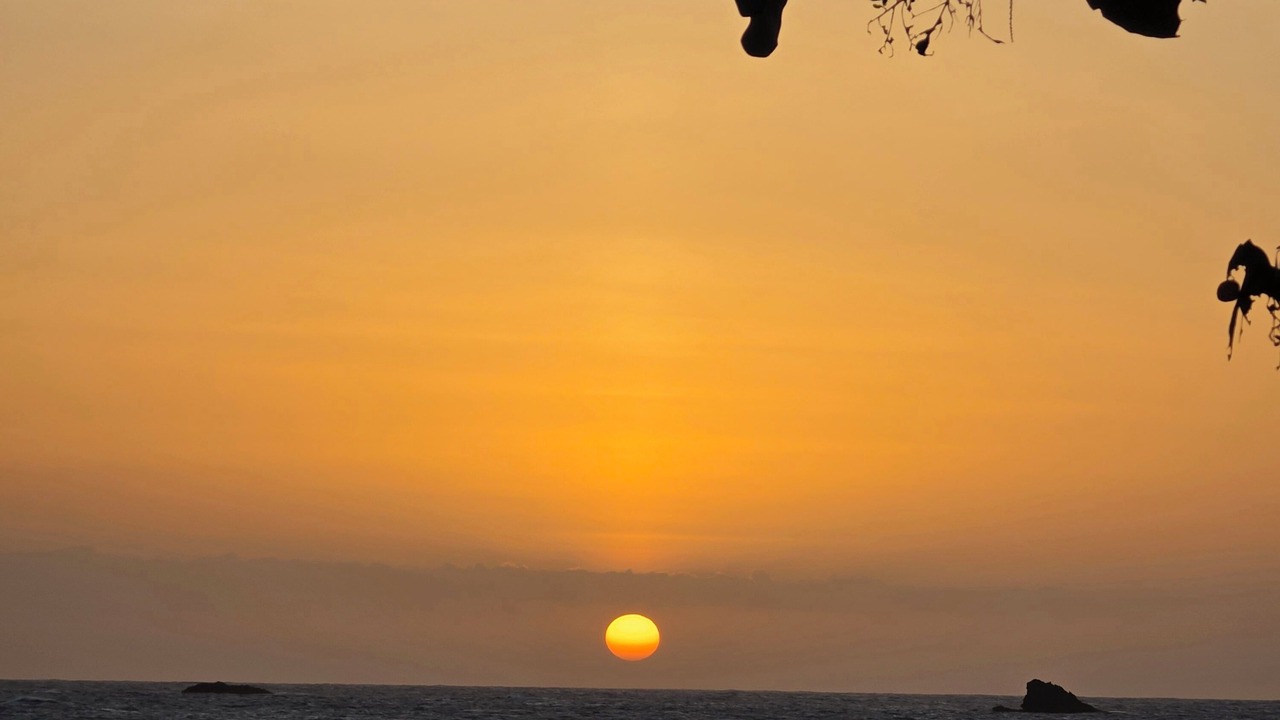 Photo of Others in Puerto Nuevo