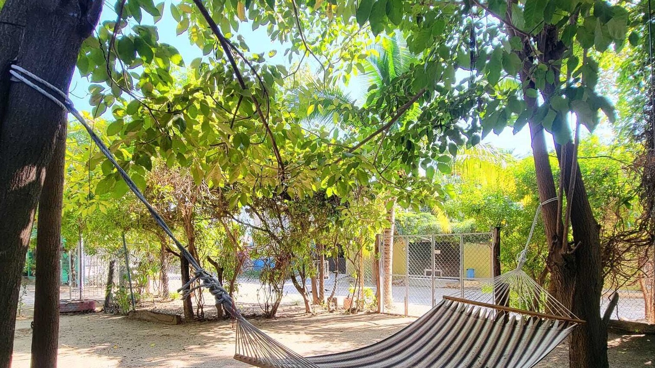 Photo of Outdoor in San Patricio Melaque