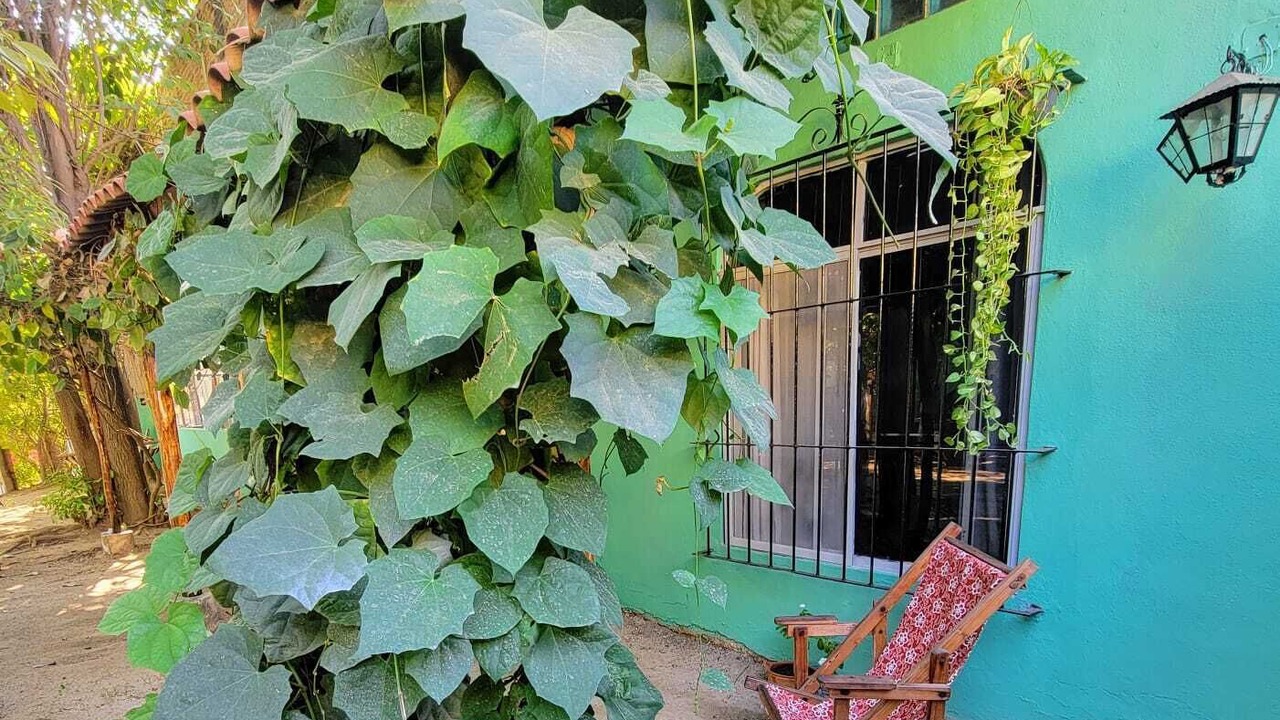 Photo of Outdoor in San Patricio Melaque