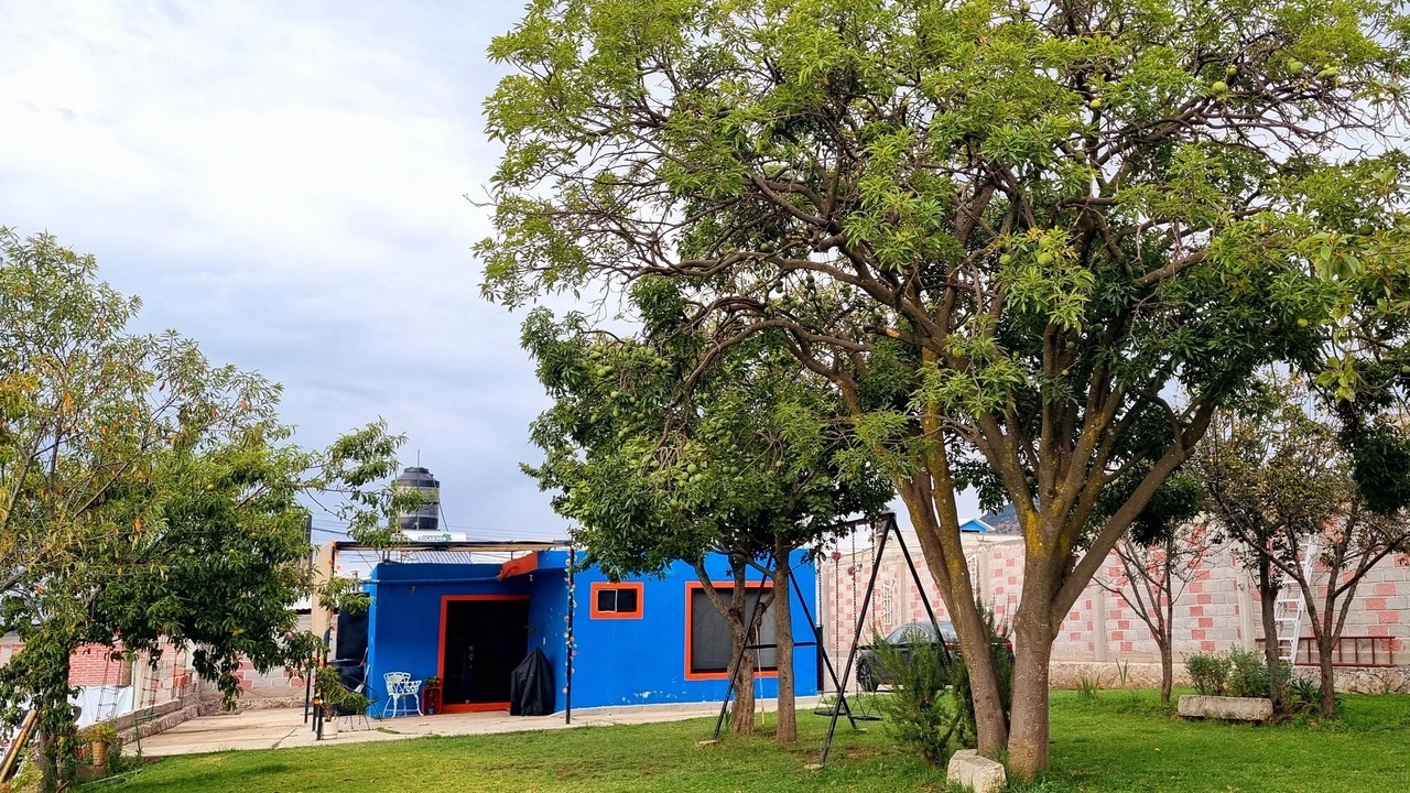 Photo of Others in Texcoco de Mora