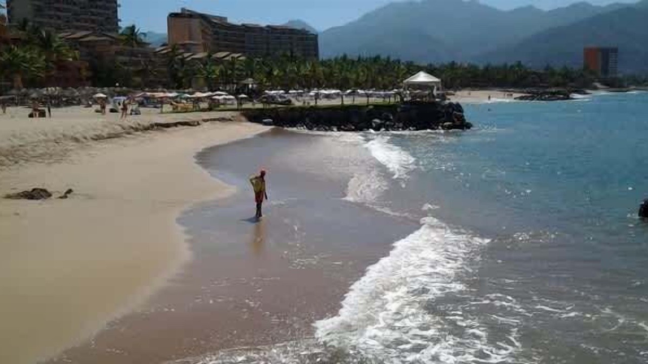 Photo of Others in Fluvial Vallarta