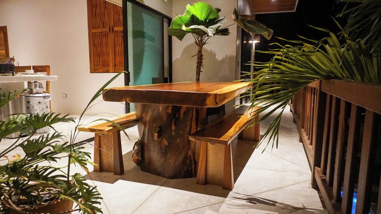 Photo of Outdoor in Saladita