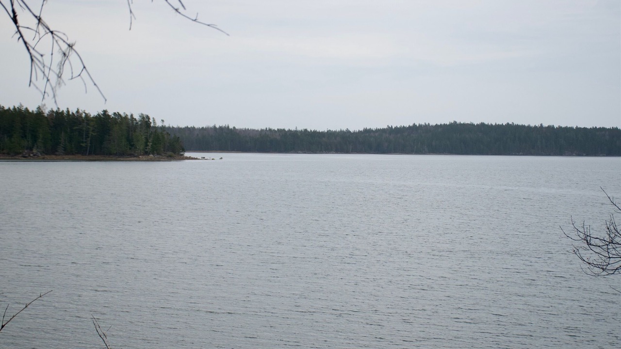 Photo of Others in Gouldsboro