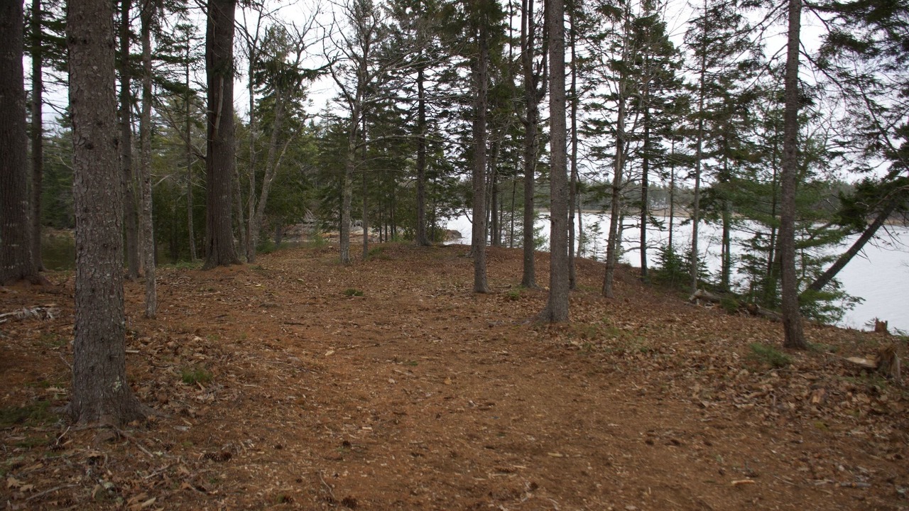Photo of Others in Gouldsboro