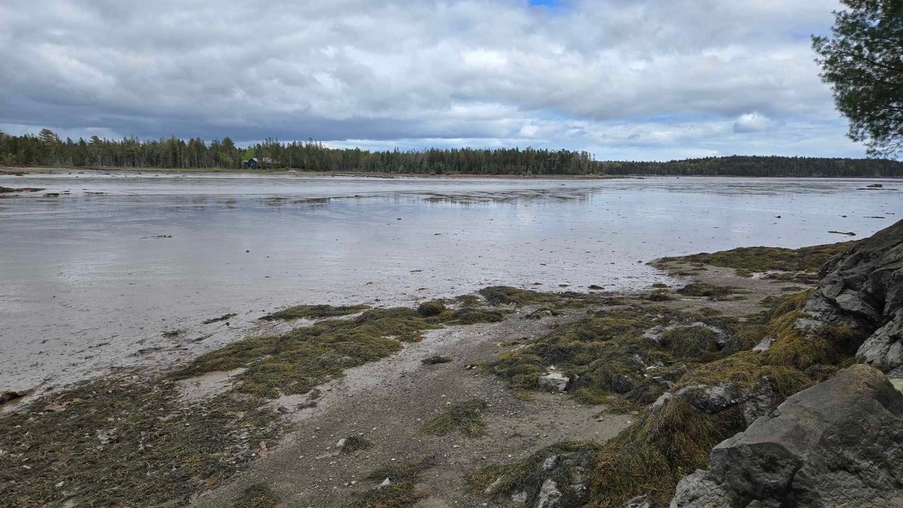 Photo of Others in Gouldsboro