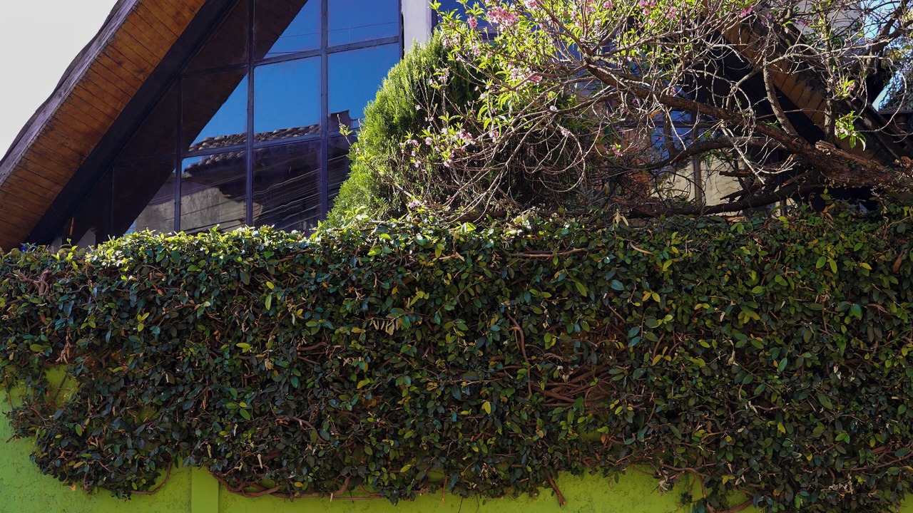 Photo of Outdoor in De Mexicanos