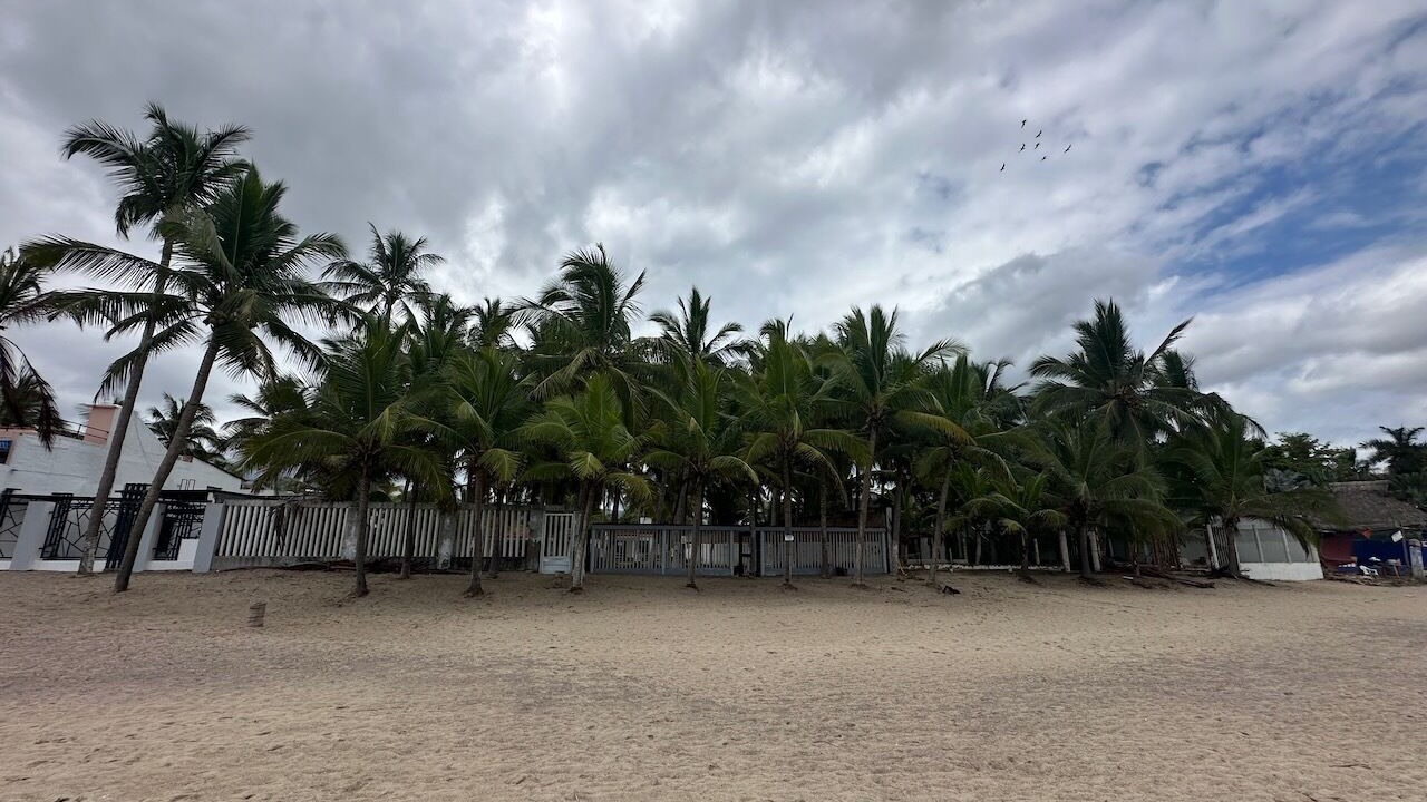 Photo of Others in Lo de Marcos