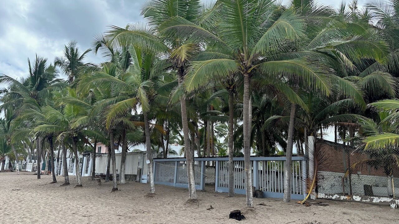 Photo of Others in Lo de Marcos