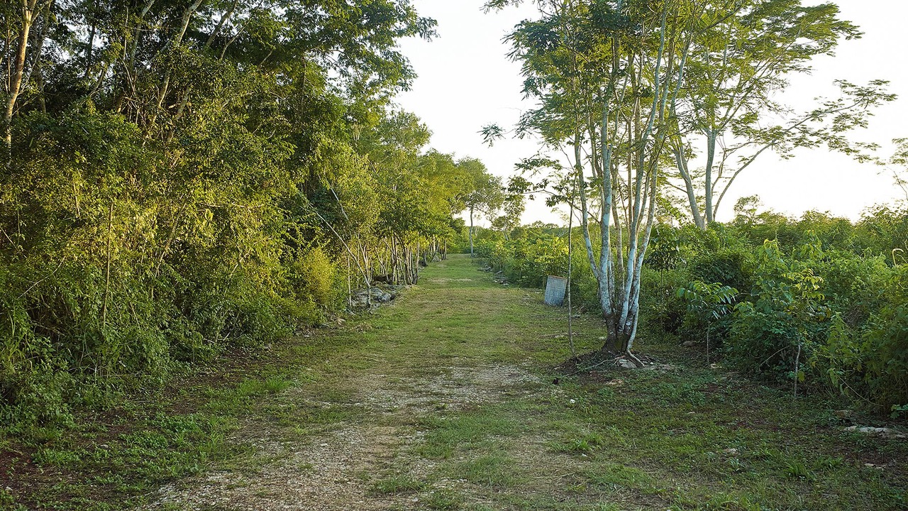 Photo of Others in Chichen Itza - Valladolid