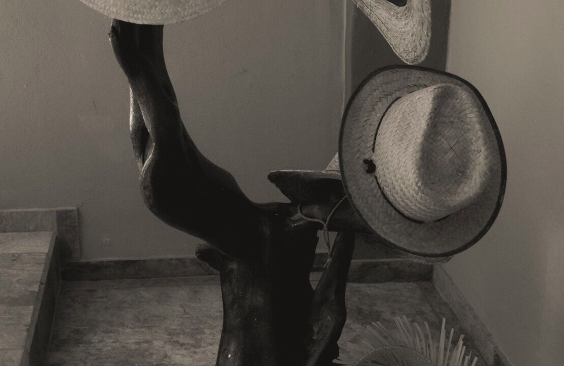 Photo of Others in Los Tamarindos