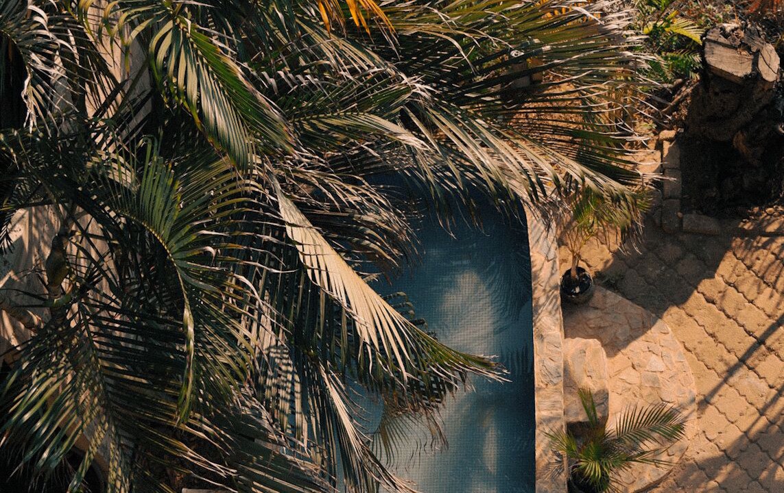Photo of Outdoor in Los Tamarindos