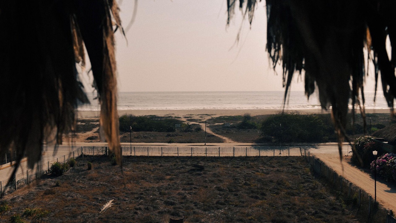 Photo of Others in Los Tamarindos