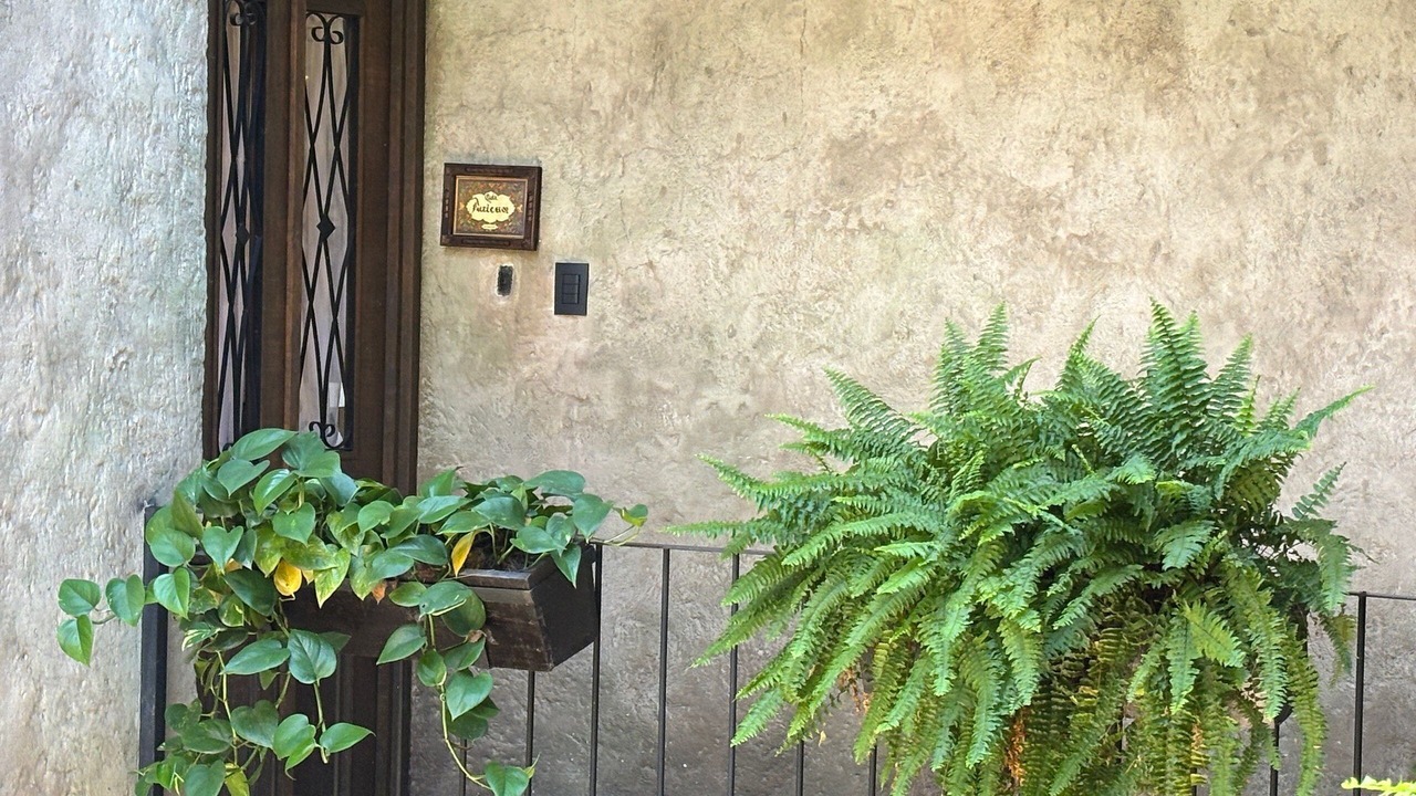 Photo of Bedroom in Tlaxco