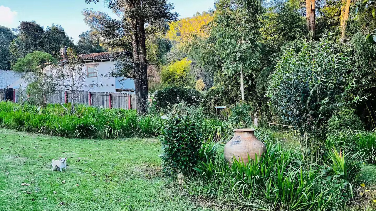 Photo of Outdoor in San Martin