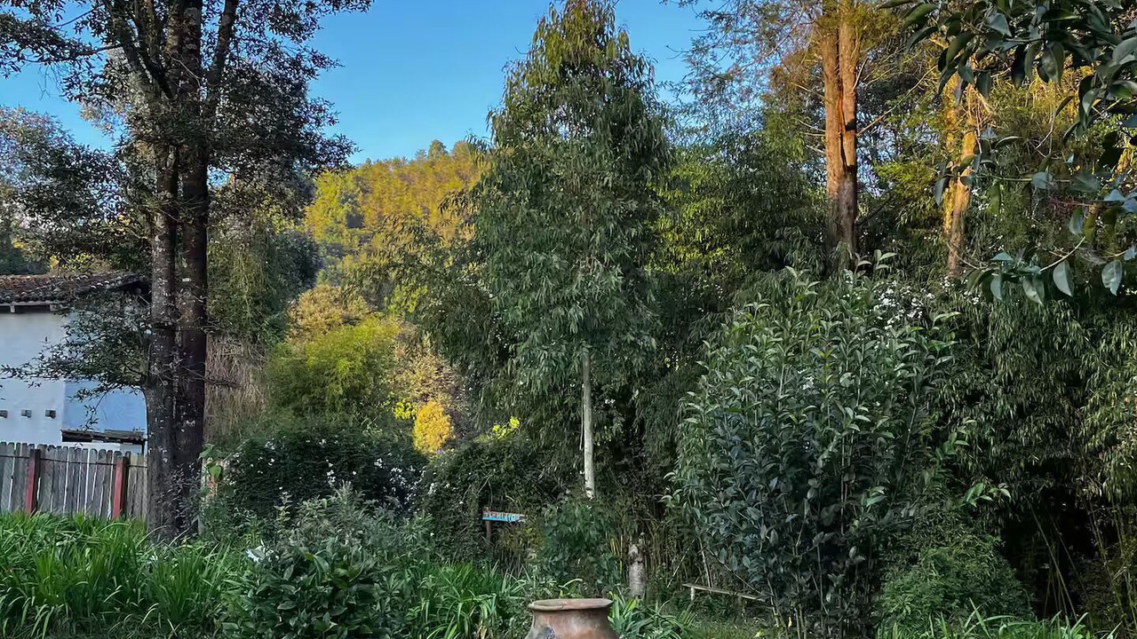 Photo of Outdoor in San Martin