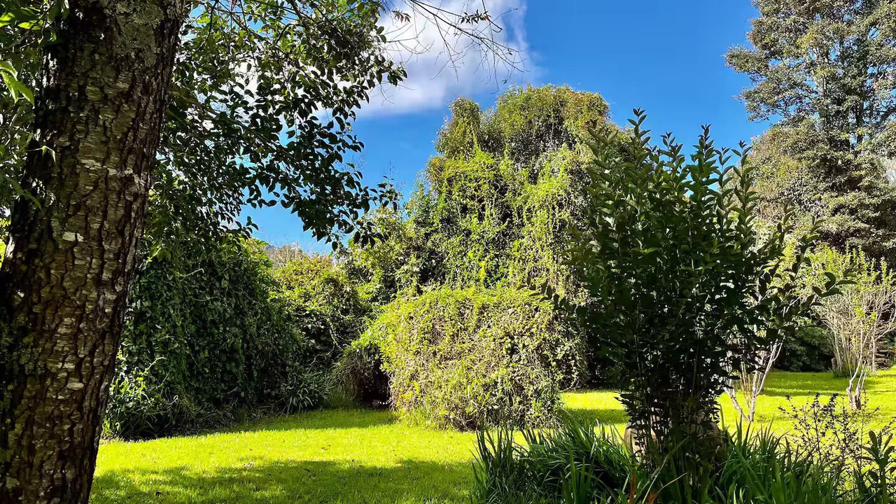 Photo of Outdoor in San Martin