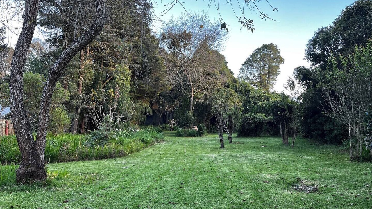 Photo of Outdoor in San Martin