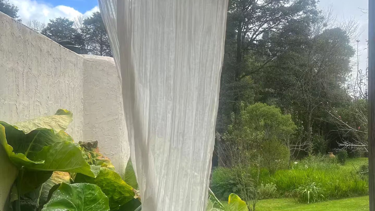 Photo of Outdoor in San Martin
