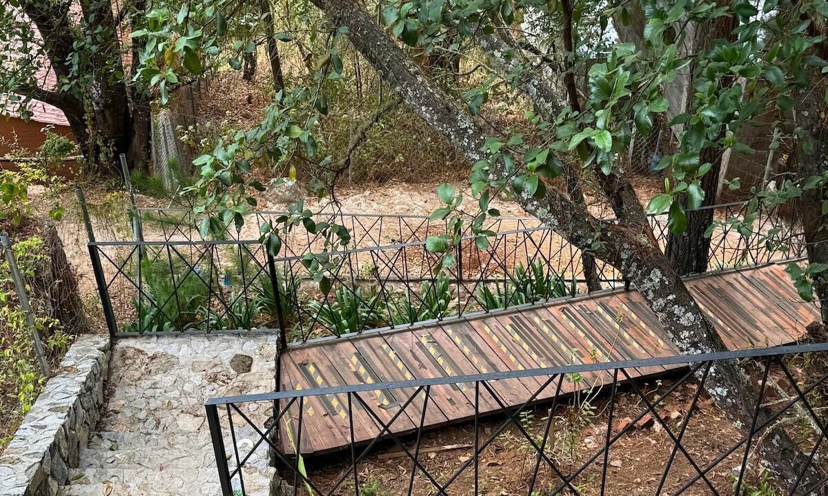 Photo of Outdoor in San Jose del Pacifico