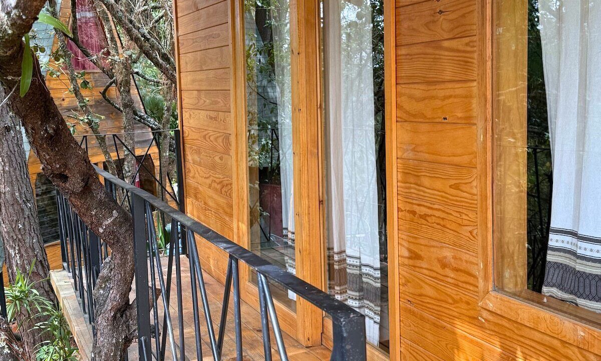 Photo of Outdoor in San Jose del Pacifico