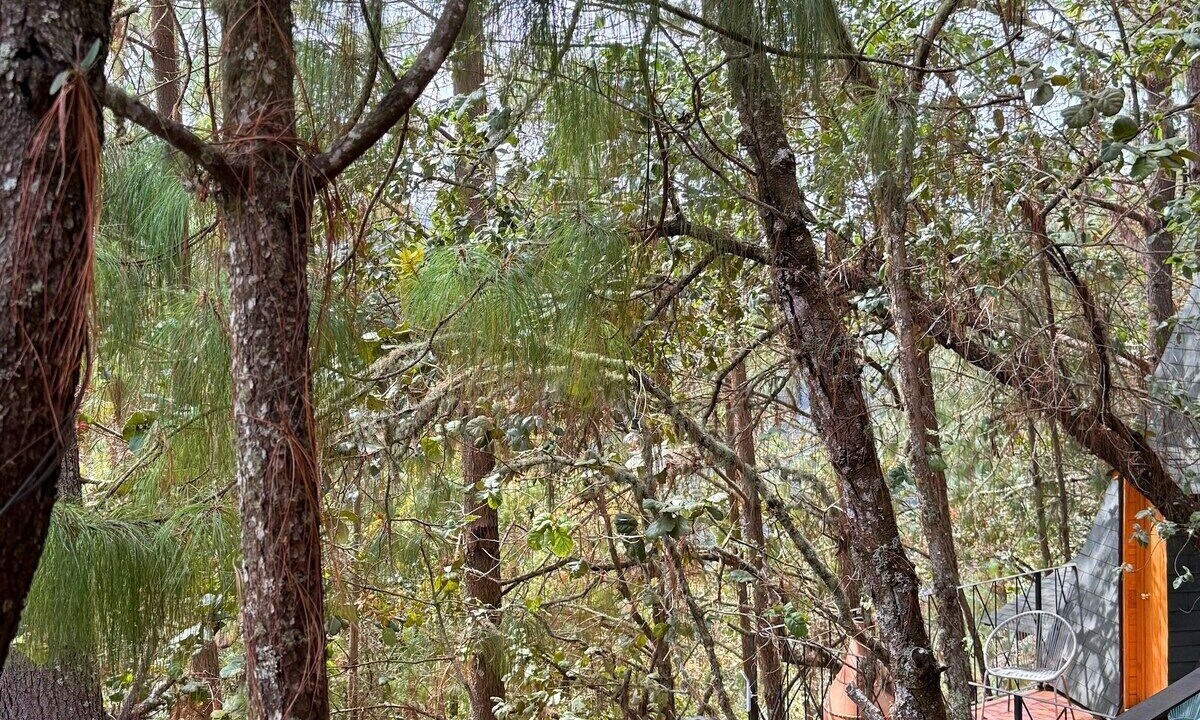 Photo of Outdoor in San Jose del Pacifico
