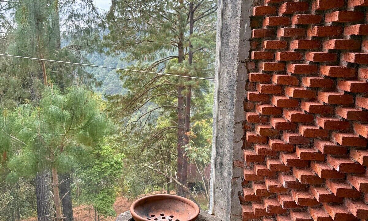 Photo of Outdoor in San Jose del Pacifico