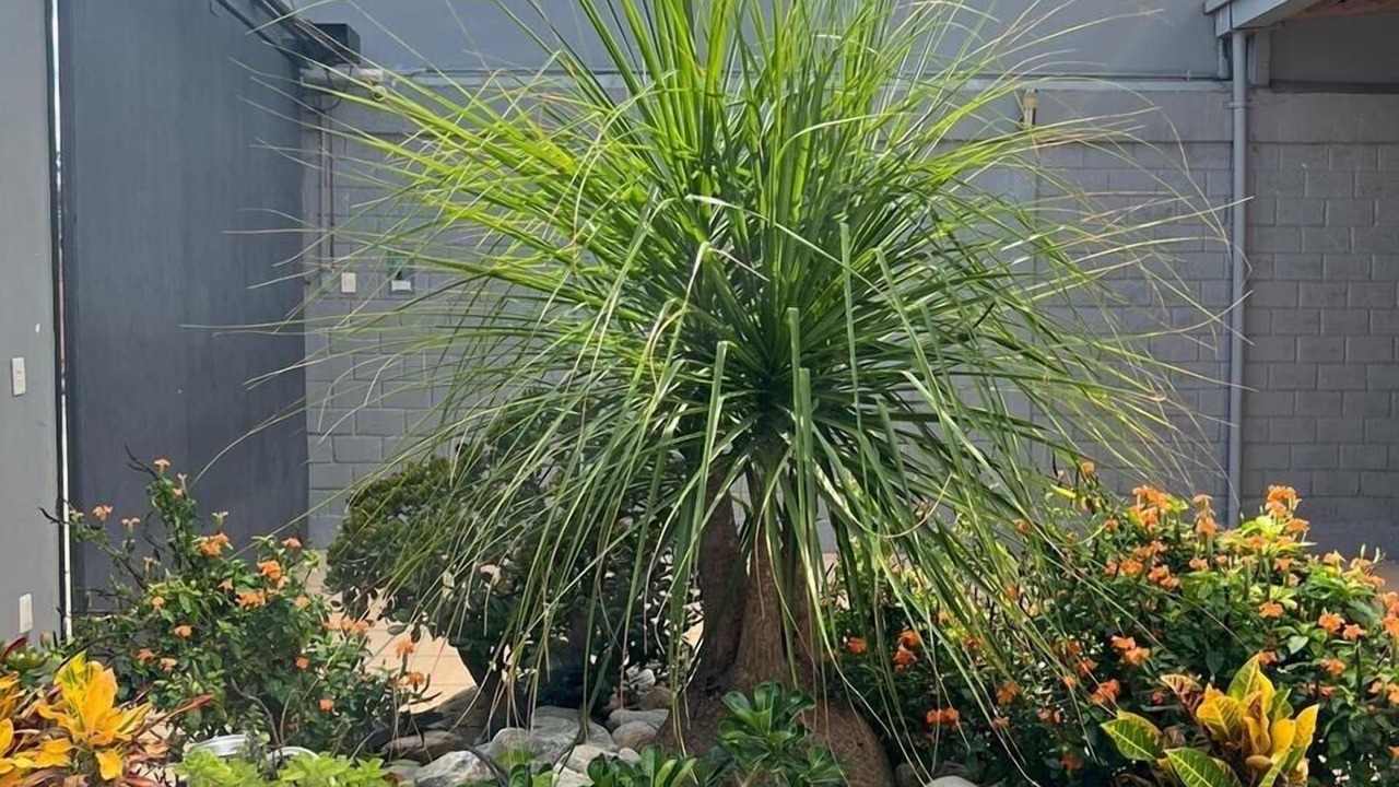 Photo of Outdoor in Oaxaca