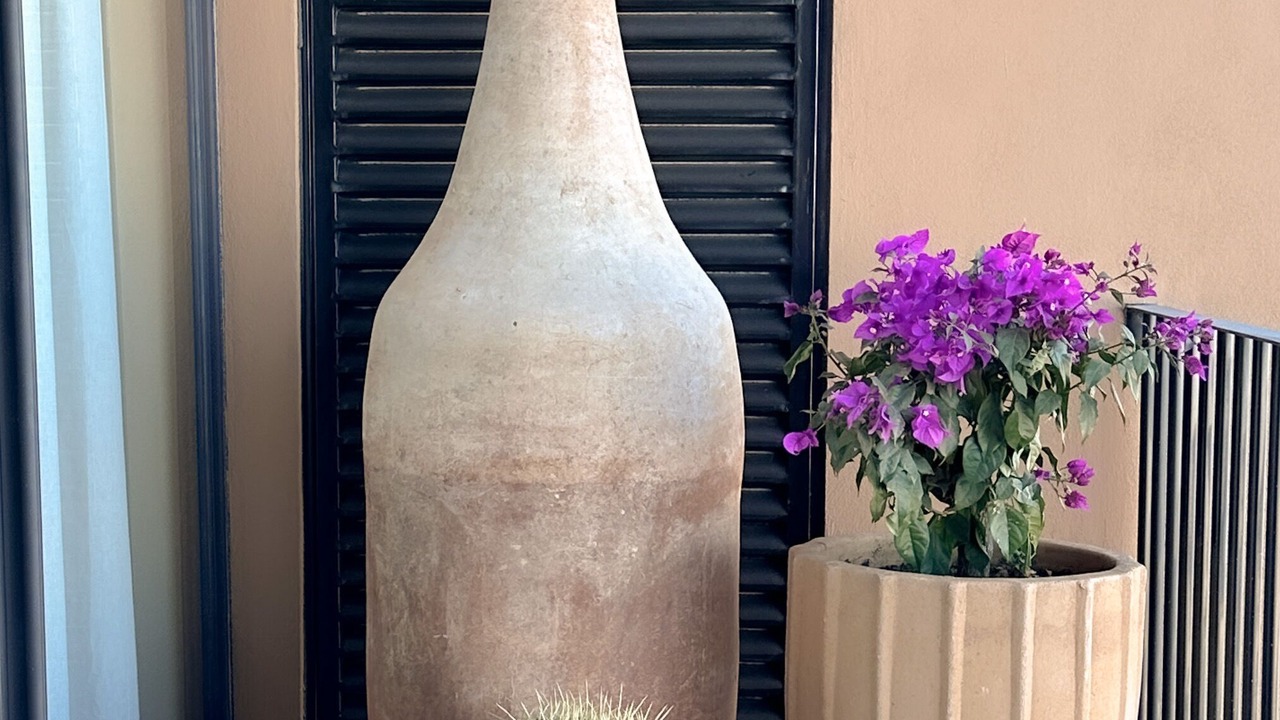 Photo of Outdoor in El Marques