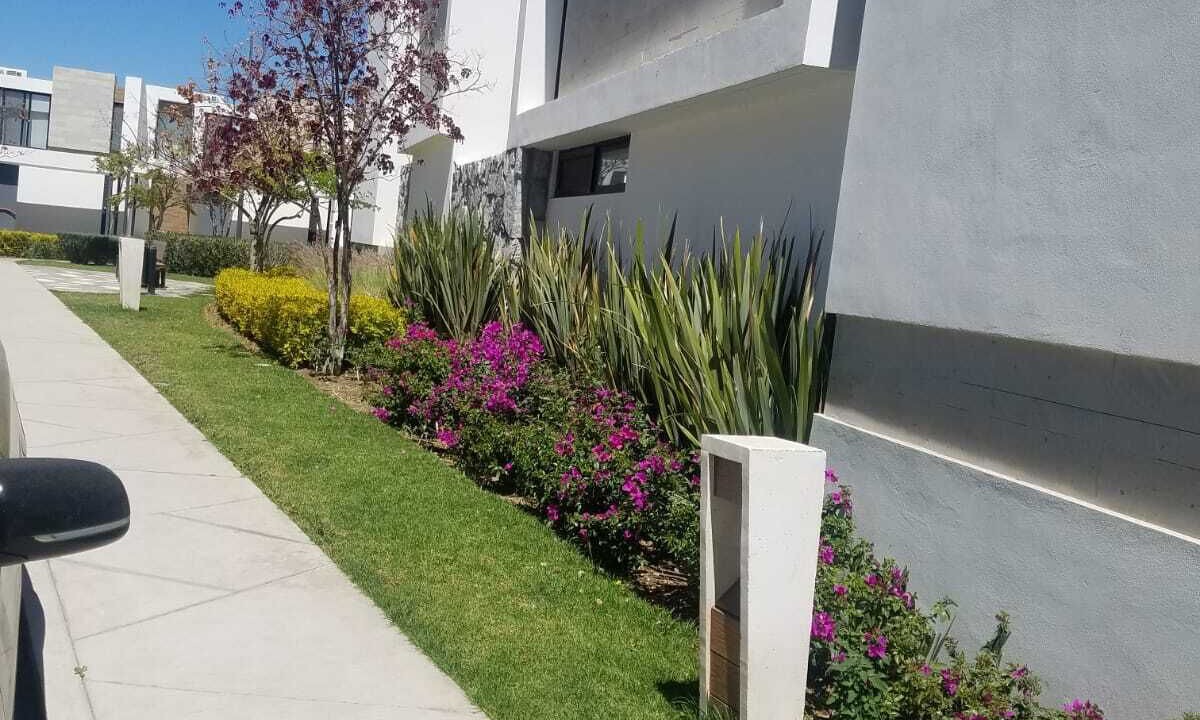 Photo of Outdoor in Aguascalientes