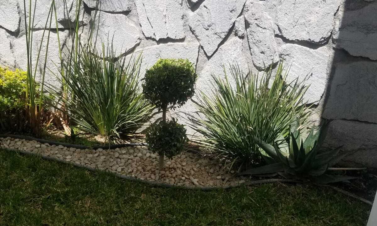Photo of Outdoor in Aguascalientes