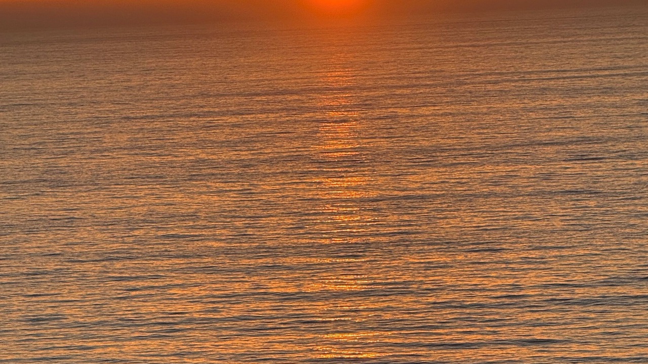 Photo of Others in El Pescadero