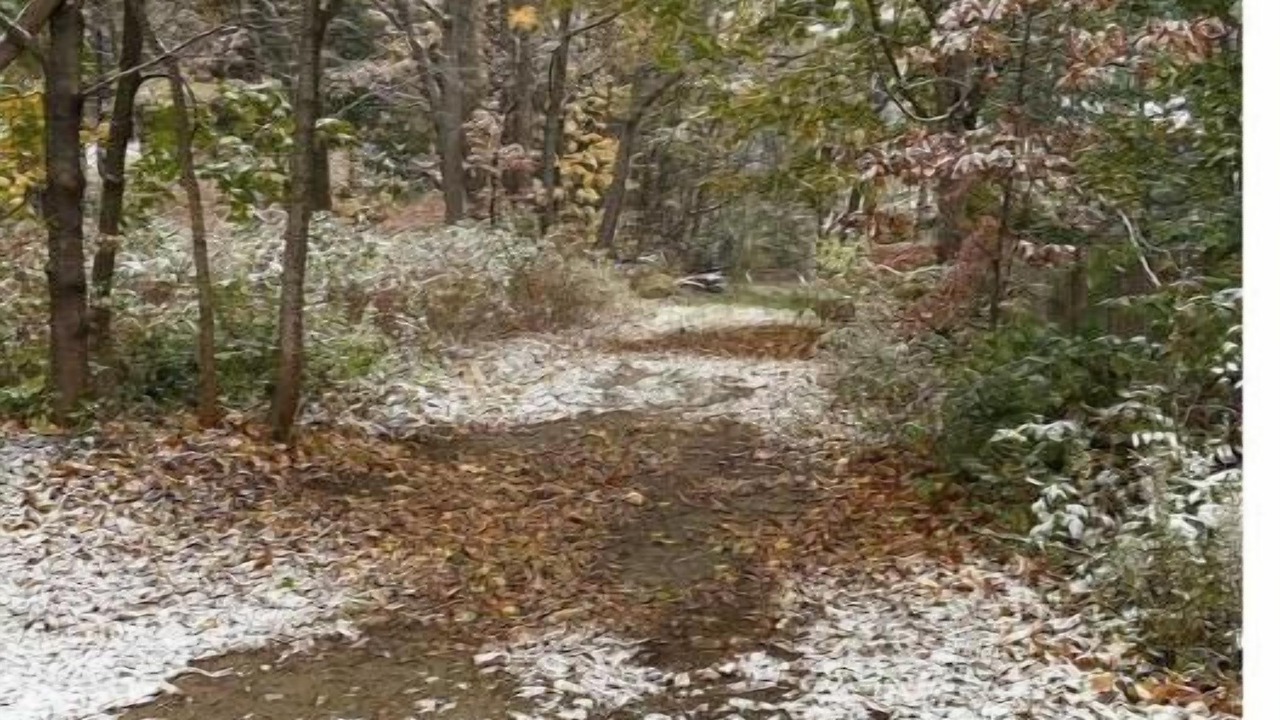 Photo of Others in Meetinghouse Hill