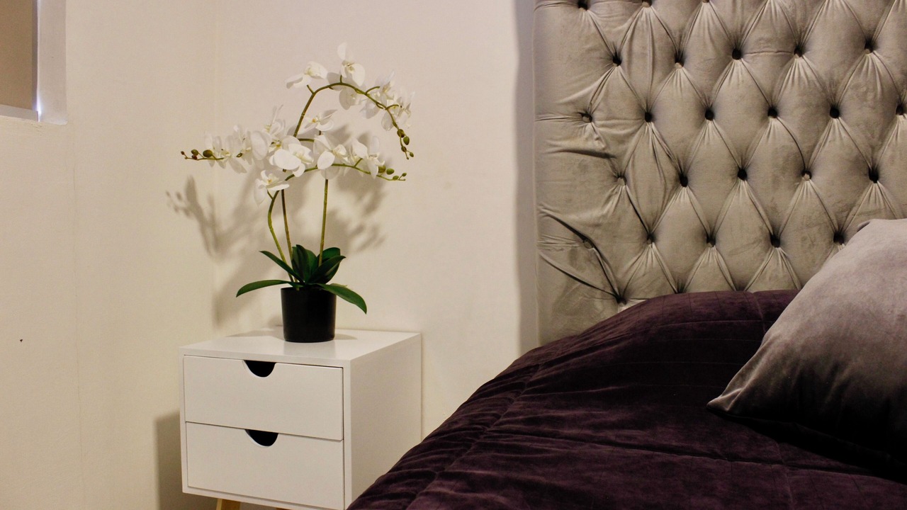 Photo of Bedroom in San Juan de Dios