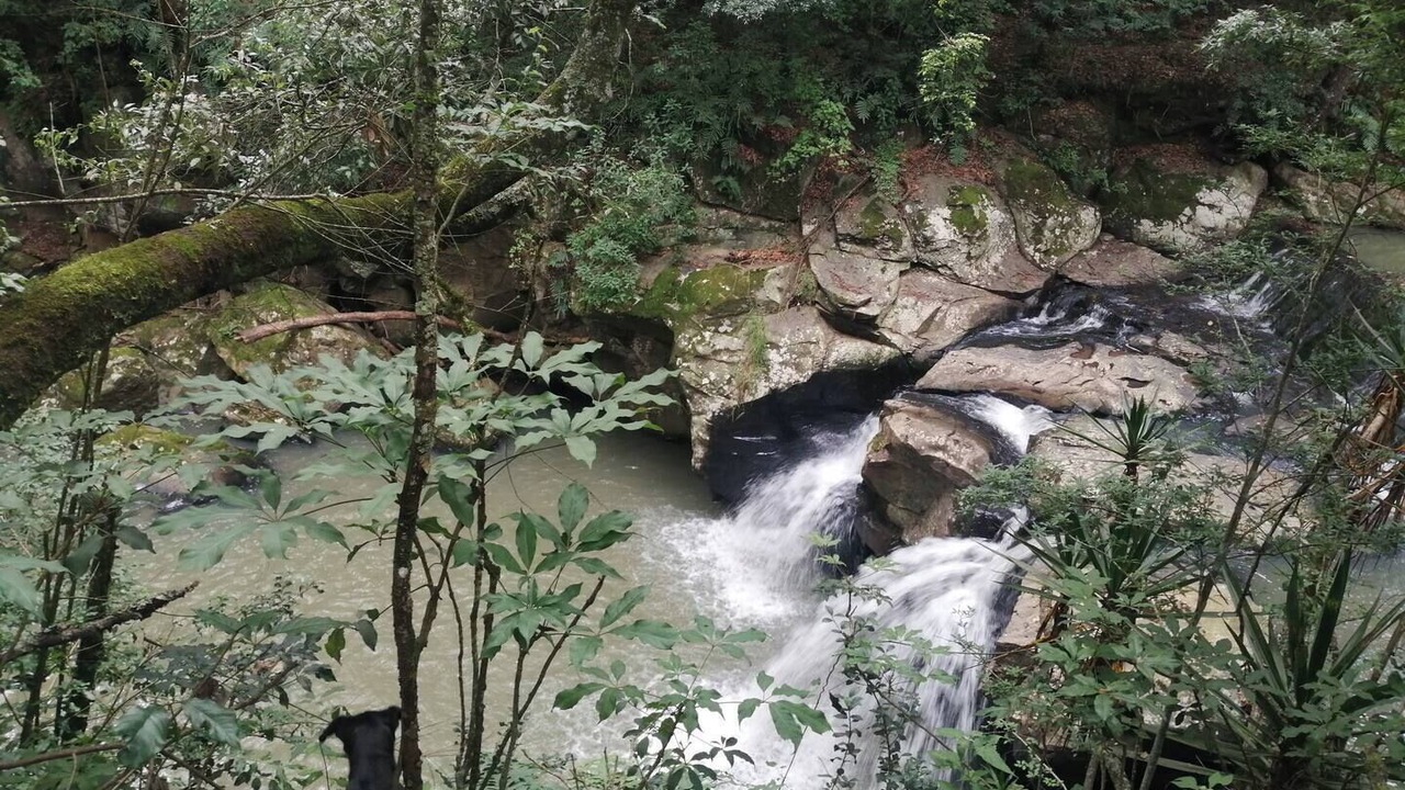 Photo of Others in Zacatlan