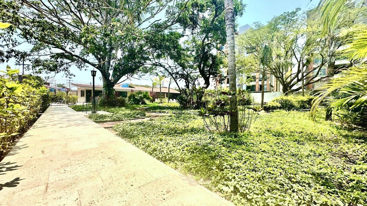 Photo of Outdoor in Palmar de Aramara