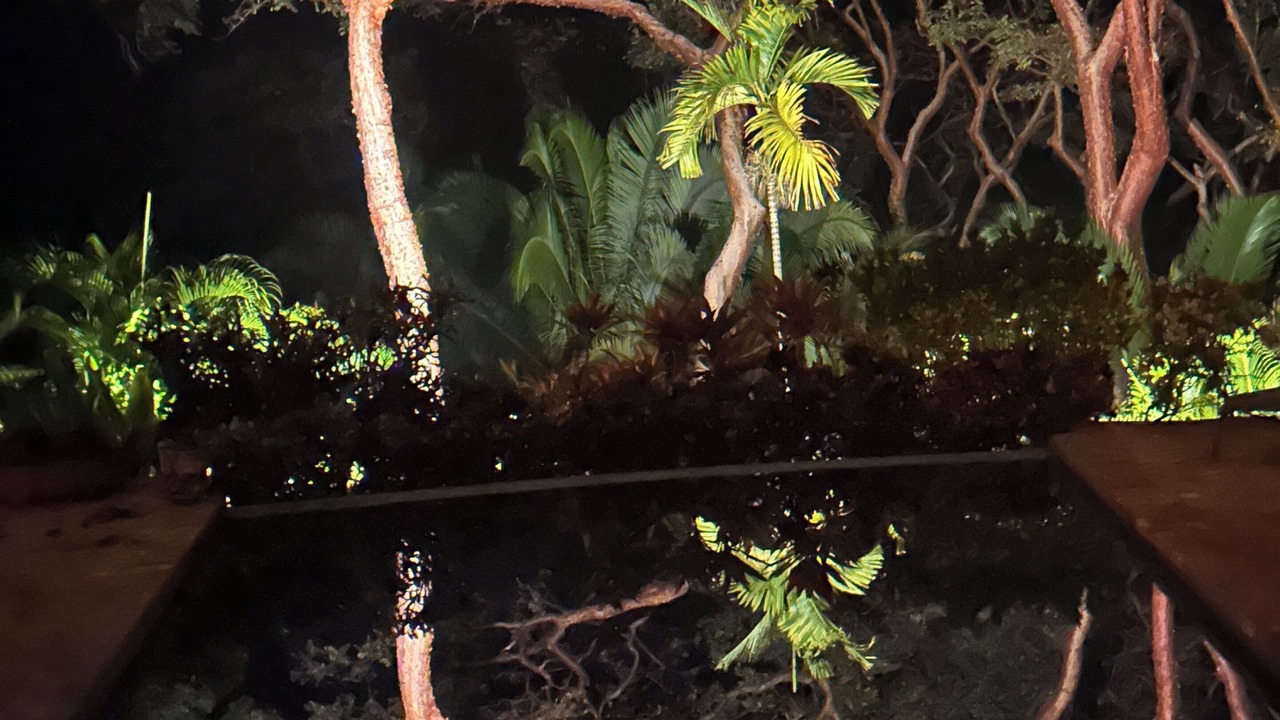 Photo of Outdoor in Chacala