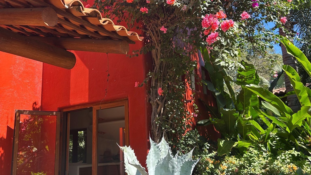 Photo of Outdoor in Chacala