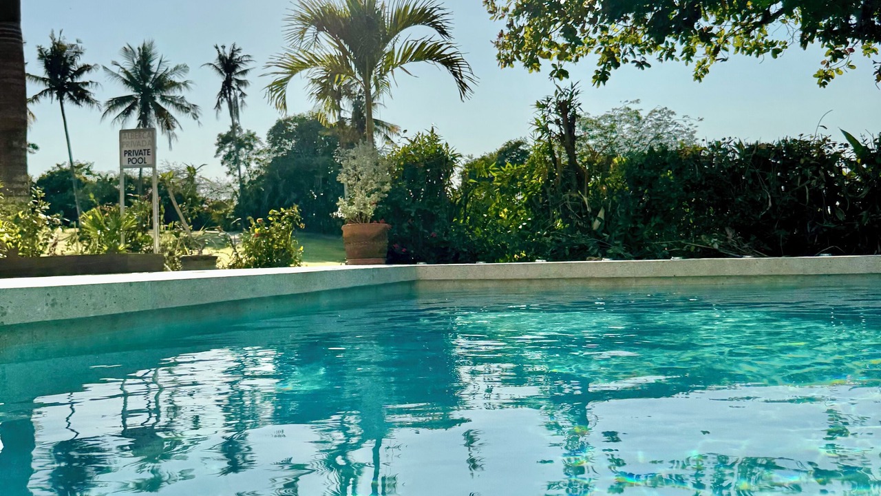 Photo of Outdoor in Flamingos