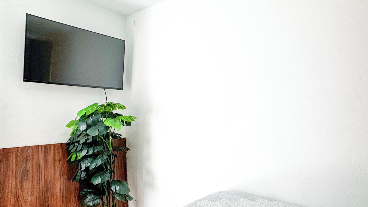 Photo of Bedroom in Reforma