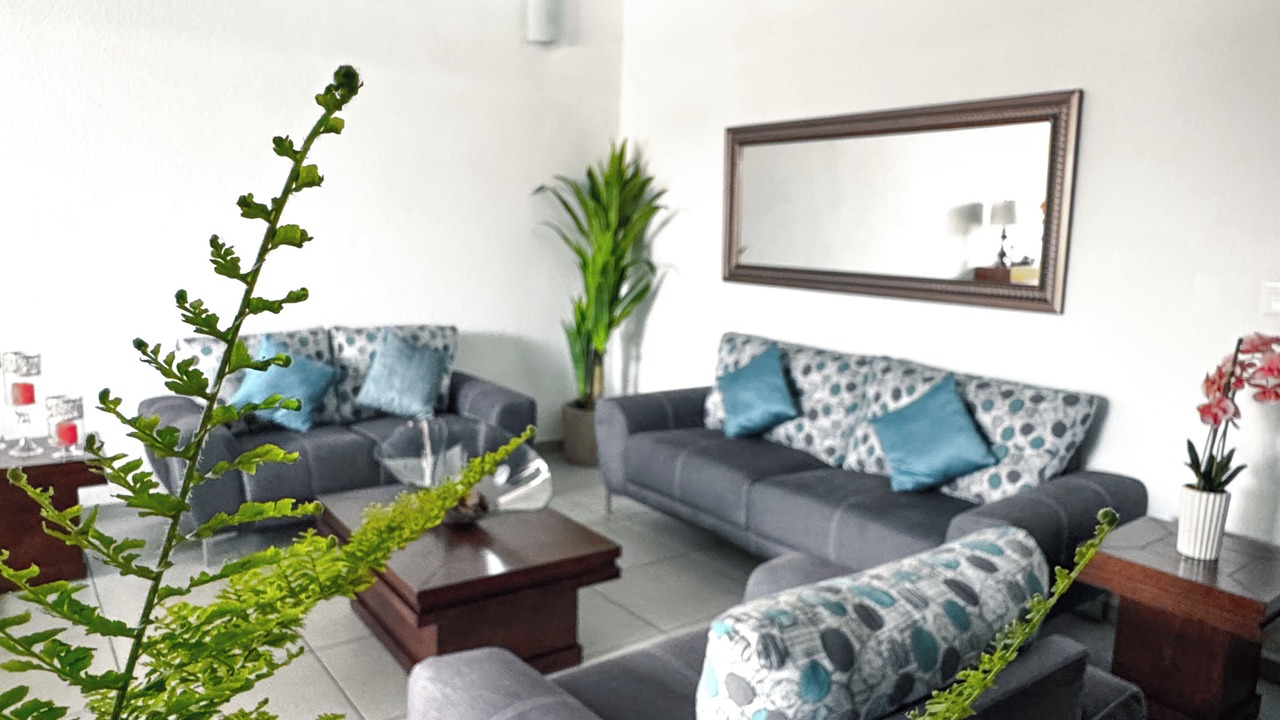 Photo of Livingroom in Reforma