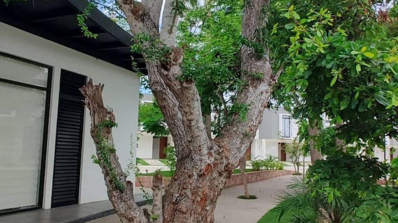 Photo of Outdoor in Valle Dorado