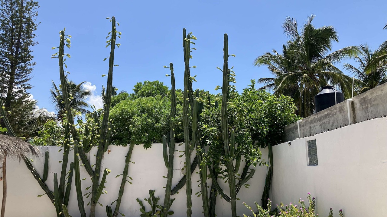 Photo of Outdoor in Chelem