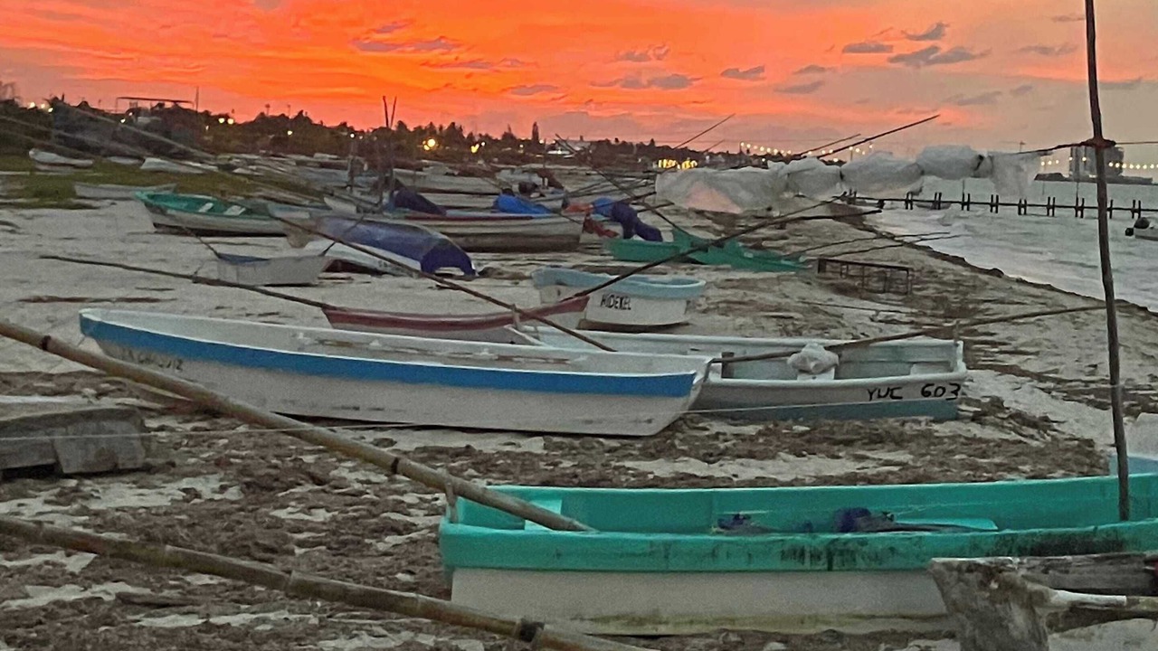 Photo of Others in Chelem